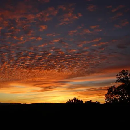 La Framboisine Saint-Etienne-Lardeyrol