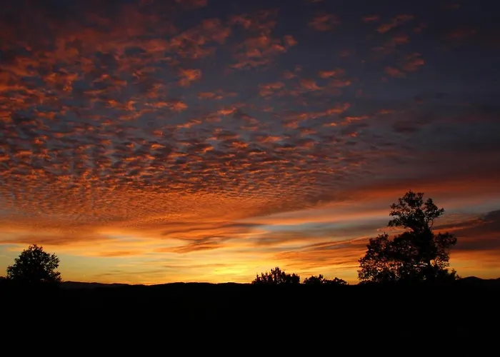 La Framboisine Saint-Etienne-Lardeyrol